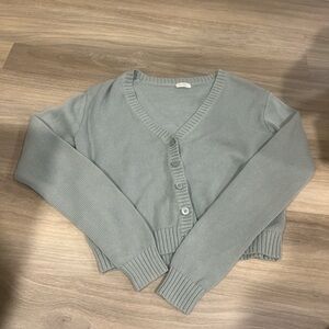John Galt Brandy Melville Sweater Sage Green